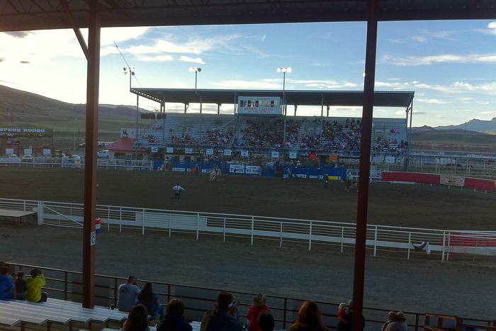 Competitors and stock in the arena at the Cody Nite Rodeo