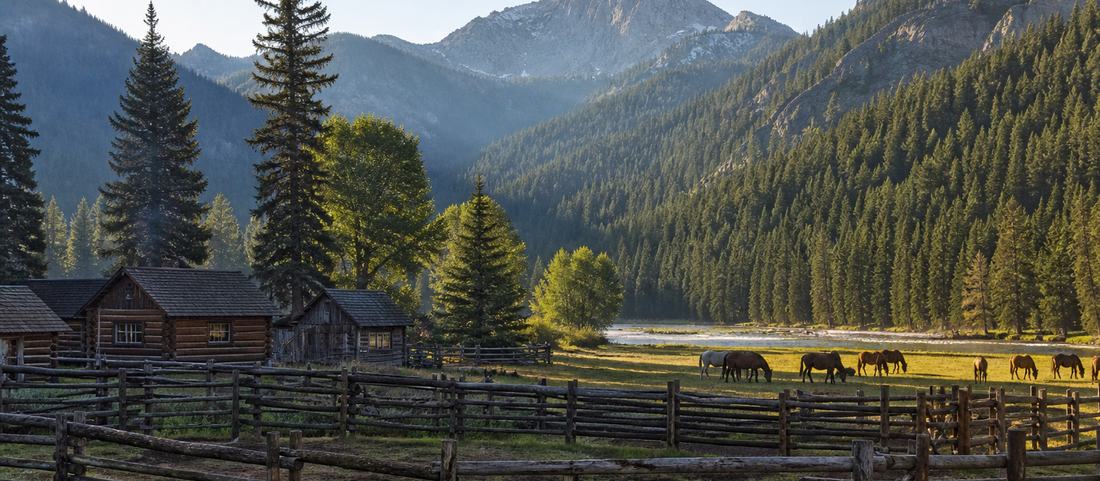 Corral fencing and horses on a ranch flat in a Wyoming mountain valley